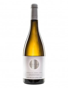 O Luar Do Sil Sobre Lias Godello