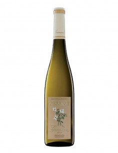 Gramona Gessami Vino